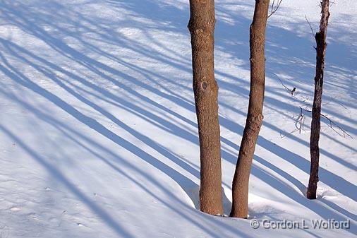Snow Shadows_13376.jpg - Photographed at Ottawa, Ontario - the capital of Canada.